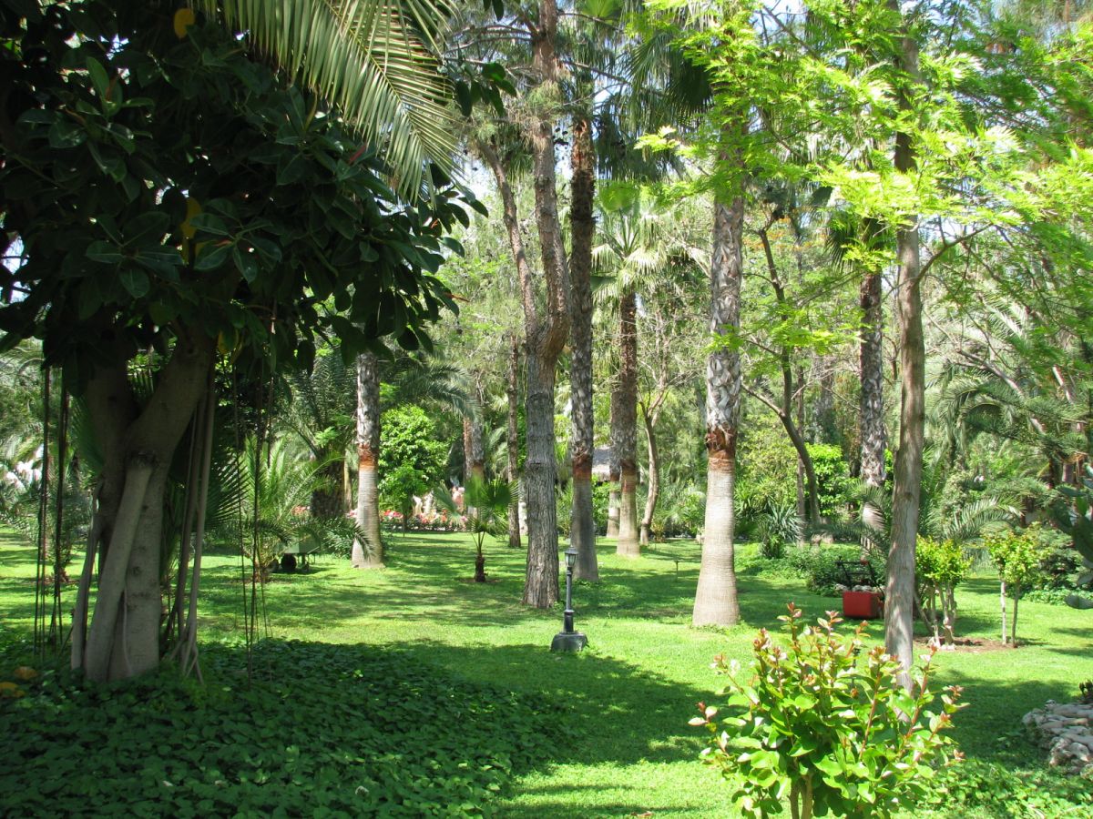 imagini hotel DELPHIN BOTANIK